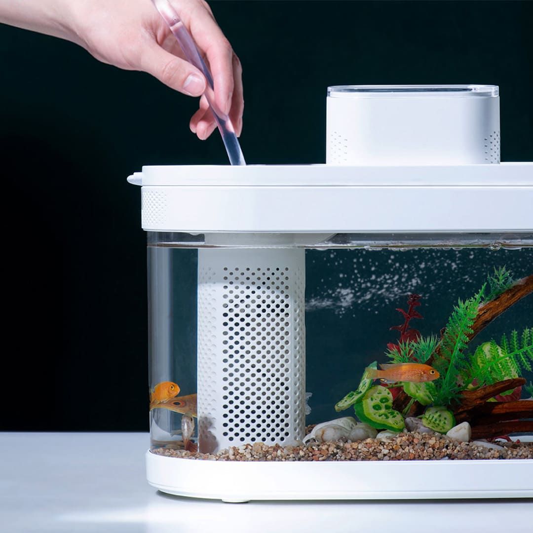 Купить Аквариум Xiaomi Descriptive Geometry C180 Smart Fish Tank Pro Set (HF-JHYG07) Купить Аквариум Xiaomi Descriptive Geometry C180 Smart Fish Tank Pro Set (HF-JHYG07)