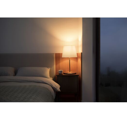 Цена Умная лампочка Xiaomi Mi Led Smart Bulb Essential White/Color (MJDPL01YL) Цена Умная лампочка Xiaomi Mi Led Smart Bulb Essential White/Color (MJDPL01YL)
