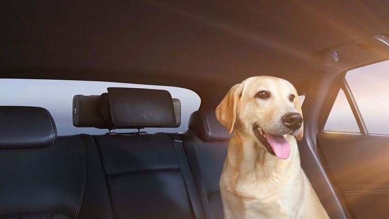 Цена Очиститель воздуха Xiaomi Mi Car Air Purifier Black Цена Очиститель воздуха Xiaomi Mi Car Air Purifier Black