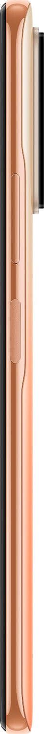 Фотография Смартфон Xiaomi Redmi Note 10 Pro 6/64Gb Bronze Фотография Смартфон Xiaomi Redmi Note 10 Pro 6/64Gb Bronze
