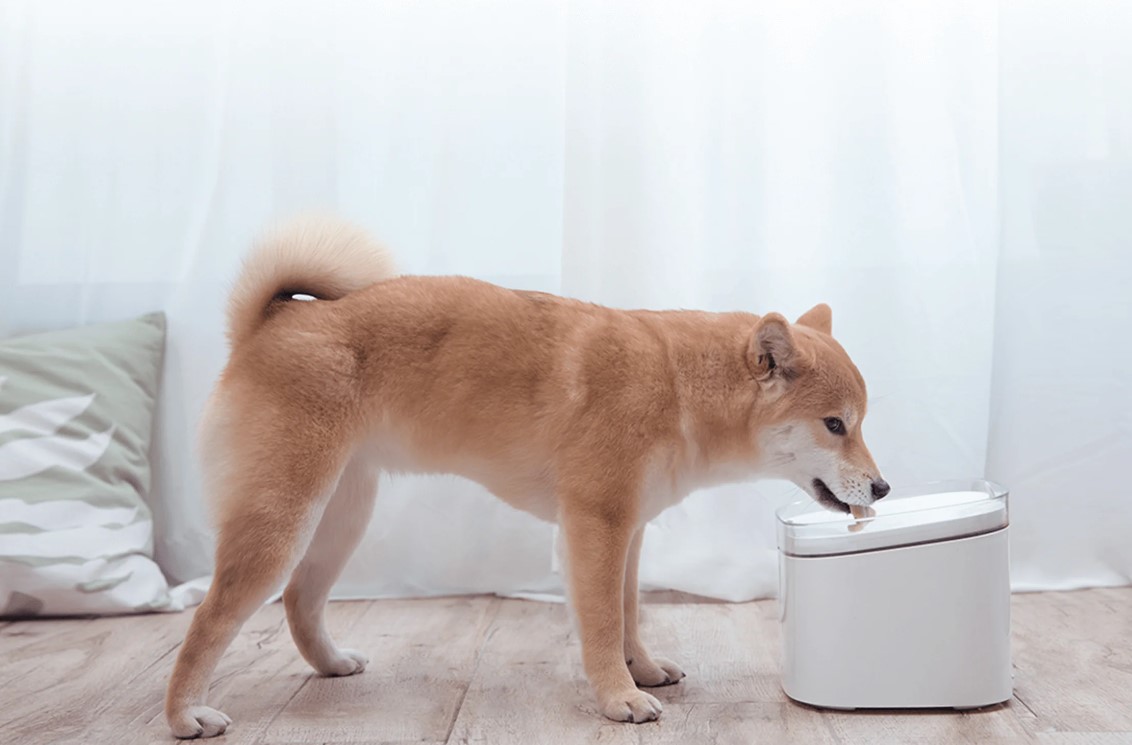 Купить Диспенсер воды для животных Xiaomi Smart Pet Fountain (BHR6161EU) Купить Диспенсер воды для животных Xiaomi Smart Pet Fountain (BHR6161EU)