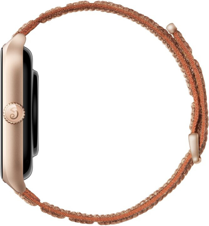 Цена Умные часы Xiaomi Amazfit GTS 4 Brown (A2168) Цена Умные часы Xiaomi Amazfit GTS 4 Brown (A2168)
