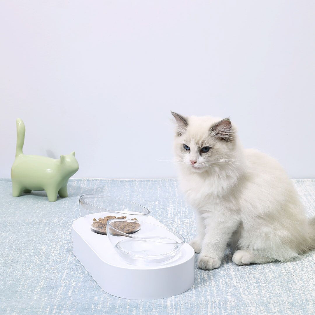 Миски для животных Xiaomi Petkit Fresh Nano Double заказать Миски для животных Xiaomi Petkit Fresh Nano Double заказать