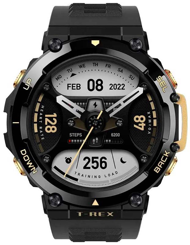 Умные часы Xiaomi Amazfit T-Rex 2 Black-Gold (A2170)