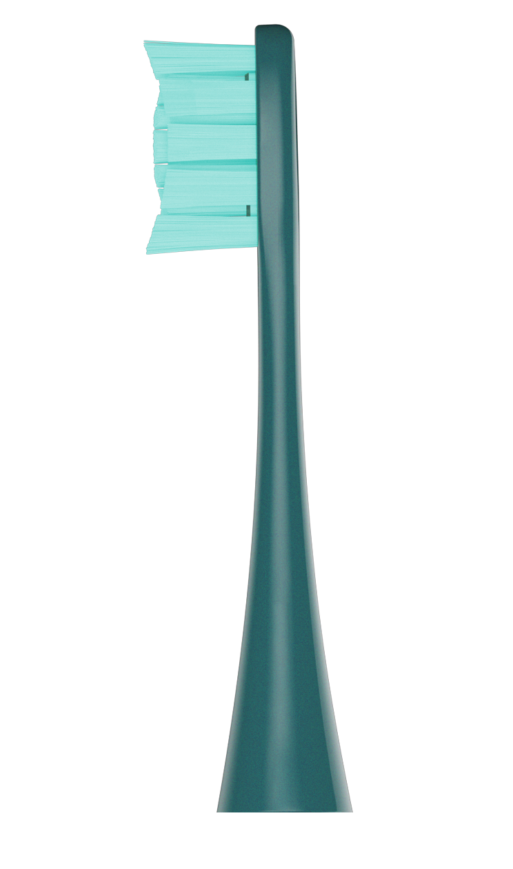 Цена Сменные зубные щетки Oclean PW09 Green (2 шт.) Цена Сменные зубные щетки Oclean PW09 Green (2 шт.)