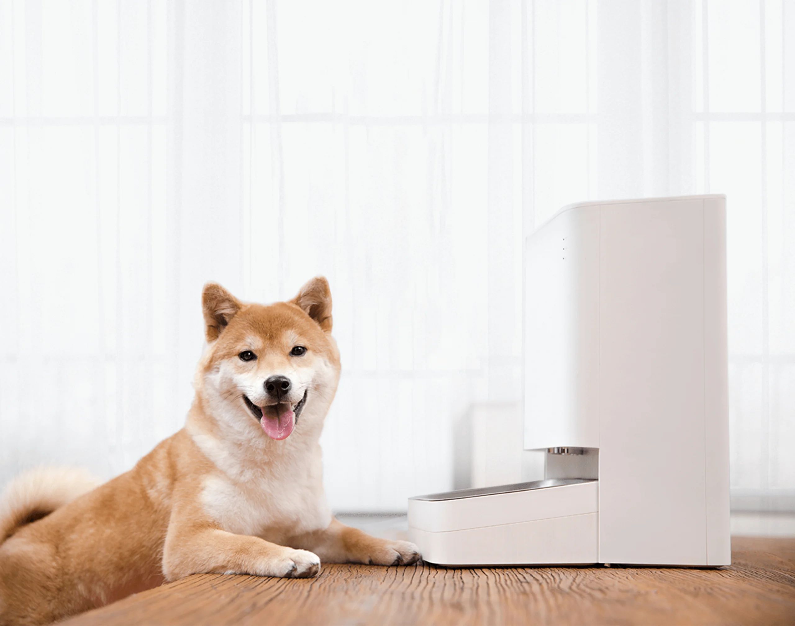 Умная кормушка для животных Xiaomi Smart Pet Food Feeder (BHR6143EU) заказать Умная кормушка для животных Xiaomi Smart Pet Food Feeder (BHR6143EU) заказать