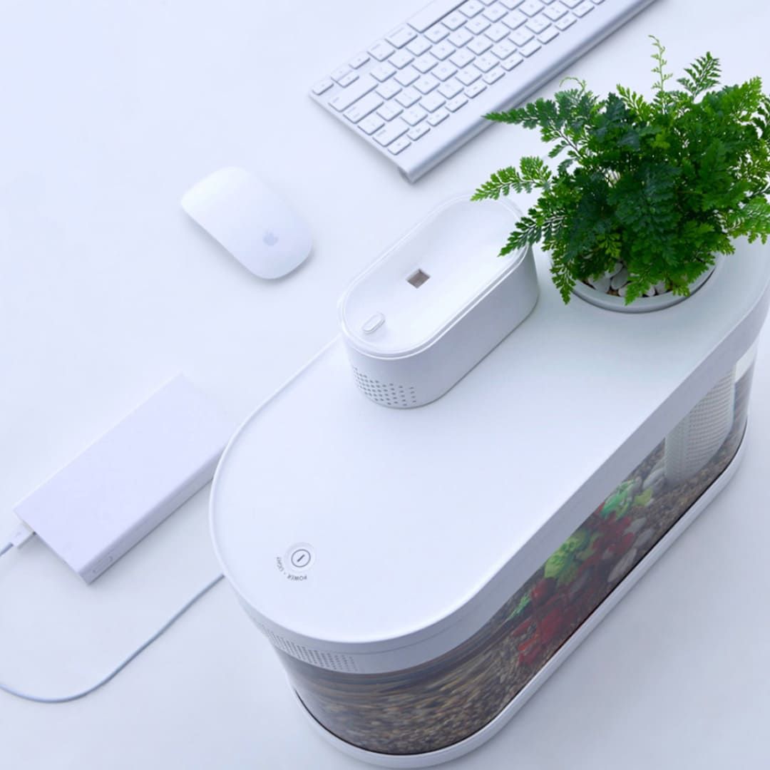 Аквариум Xiaomi Descriptive Geometry C180 Smart Fish Tank Pro Set (HF-JHYG07) заказать Аквариум Xiaomi Descriptive Geometry C180 Smart Fish Tank Pro Set (HF-JHYG07) заказать
