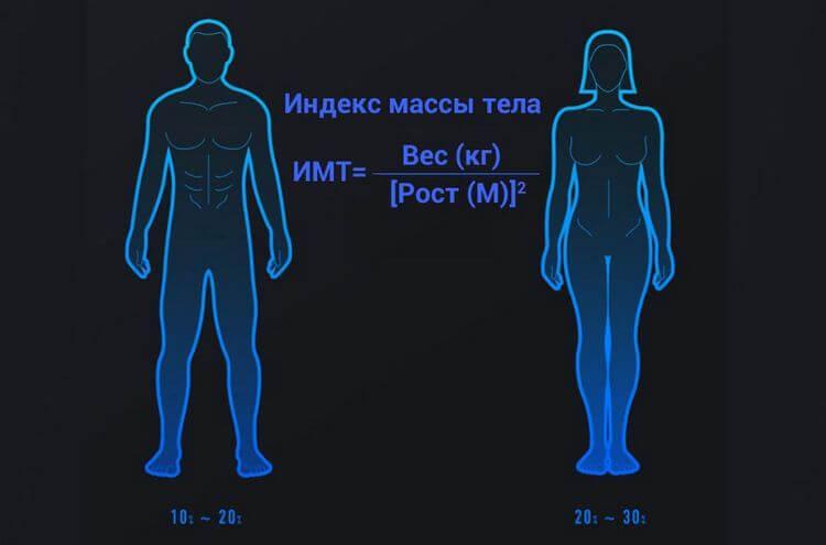 Mi Smart Scale 2_3.jpg