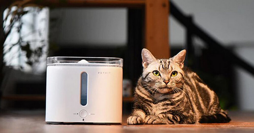 Диспенсер воды для животных Xiaomi Smart Pet Fountain
