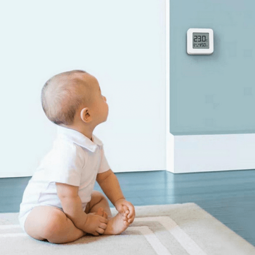 Гигрометр Xiaomi Mi 2 Temperature and Humidity Monitor (LYWSD03MMC)