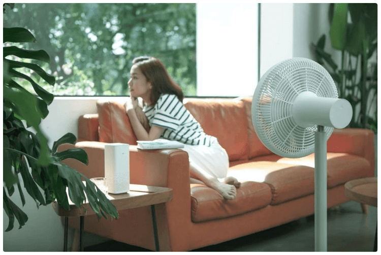 Вентилятор беспроводной Xiaomi Smartmi Pedestal Fan 3 (PNP6005EU)