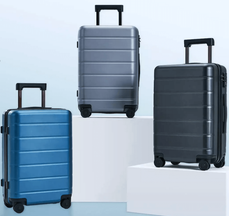 Luggage Classic_1.png