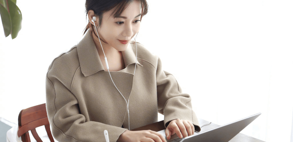 Mi Dual Driver Earphones_5.png