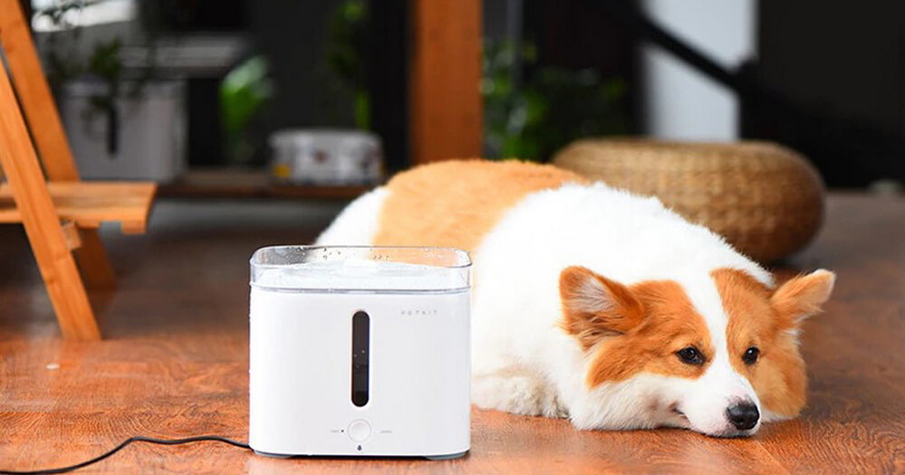 Диспенсер воды для животных Xiaomi Smart Pet Fountain