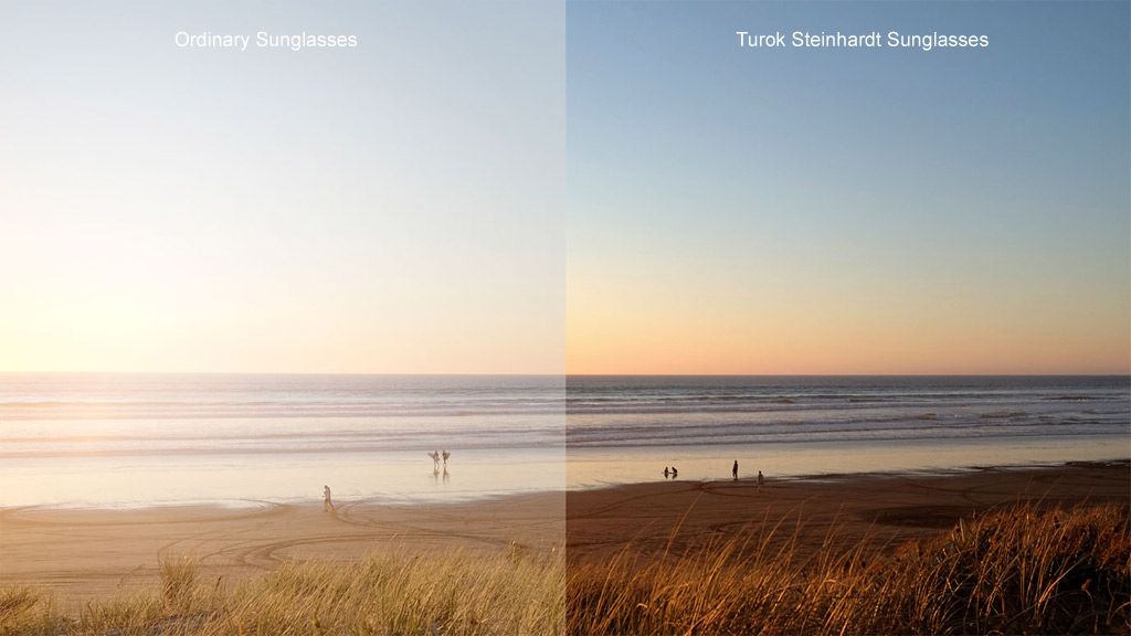 Turok Steinhardt Sunglasses_4.jpg