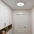 Картинка Потолочный светильник Xiaomi Yeelight Crystal Sensory Light Mini (YLXD09YL)