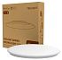 Фотография Потолочная лампа Xiaomi Yeelight Arwen Ceiling Light 550C (YLXD013-C)