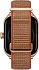 Купить Умные часы Xiaomi Amazfit GTS 4 Brown (A2168)