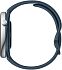 Купить Умные часы Xiaomi Amazfit GTR mini Blue (A2174)