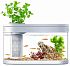 Фото Аквариум Xiaomi Descriptive Geometry C180 Smart Fish Tank Pro