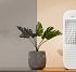 Цена Увлажнитель воздуха Xiaomi Deerma DEM-CT500