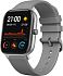 Фотография Умные часы Xiaomi Amazfit GTS Grey