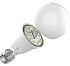 Фотография Умная лампочка Xiaomi Mi Led Smart Bulb Essential White (XMBGDPO1YLK)