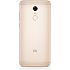 Картинка Смартфон Xiaomi Redmi 5 Plus 64Gb Gold