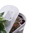 Фотография Аквариум Xiaomi Descriptive Geometry C180 Smart Fish Tank Pro Set (HF-JHYG07)