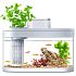 Фото Аквариум Xiaomi Descriptive Geometry C180 Smart Fish Tank Pro Set (HF-JHYG07)