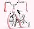 Фотография Велосипед детский Xiaomi Ninebot Kid Bike 14" Pink