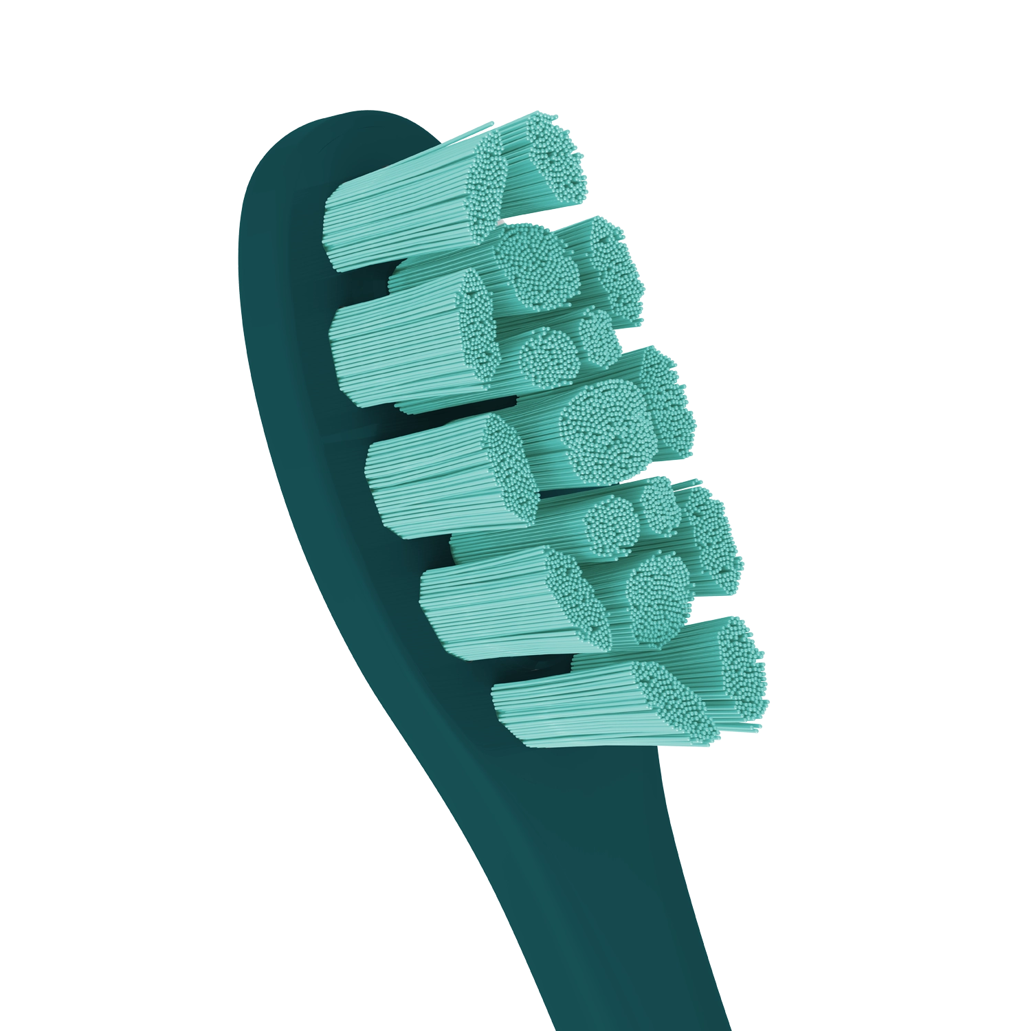 Сменные зубные щетки Oclean PW09 Green (2 шт.) заказать